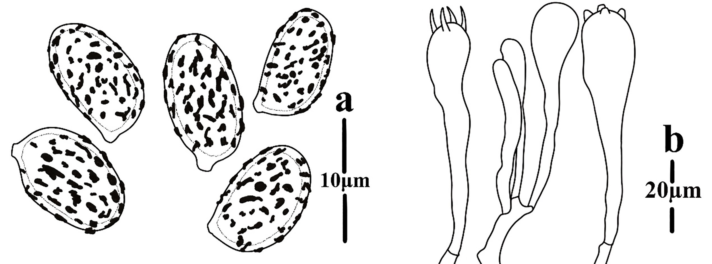Figure 69